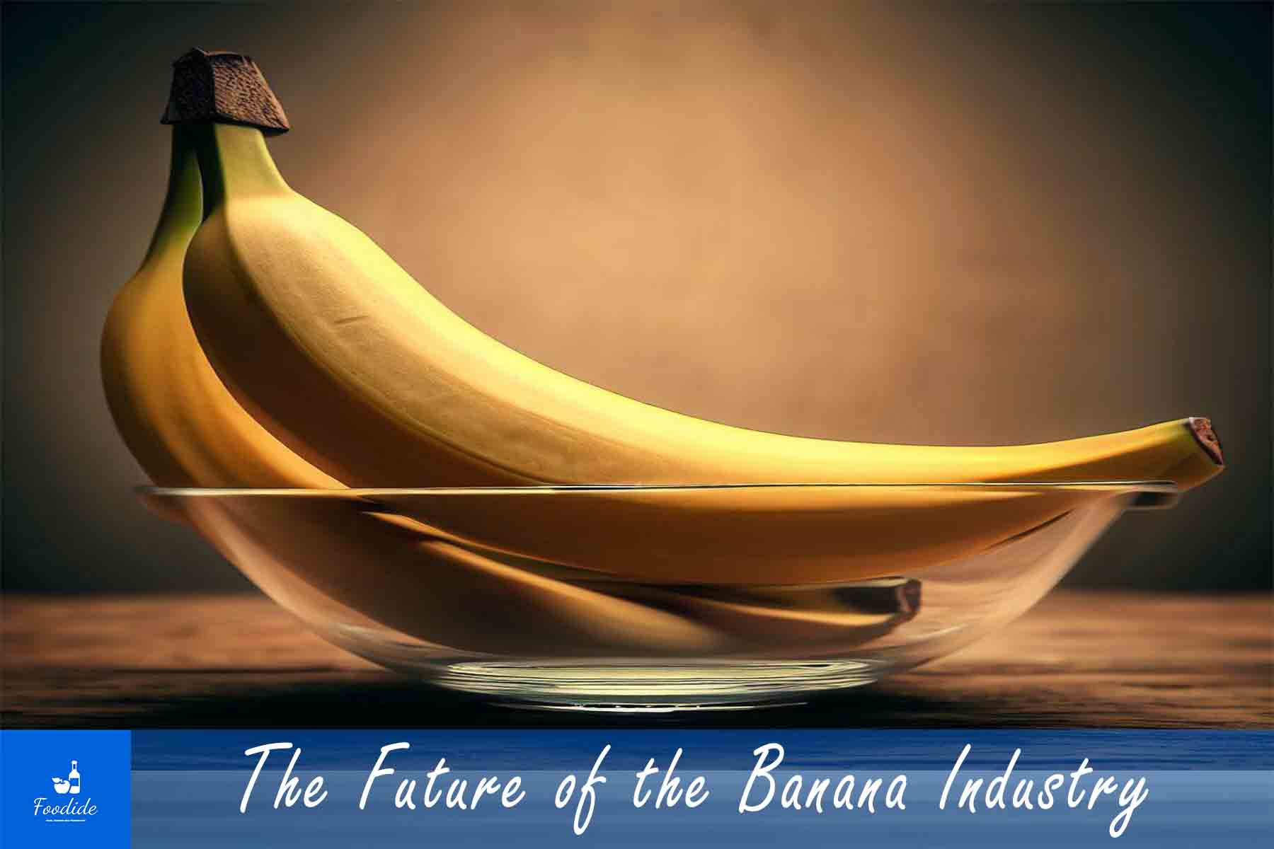 Shortage Of Bananas 2025 [Know The Truth] Foodide